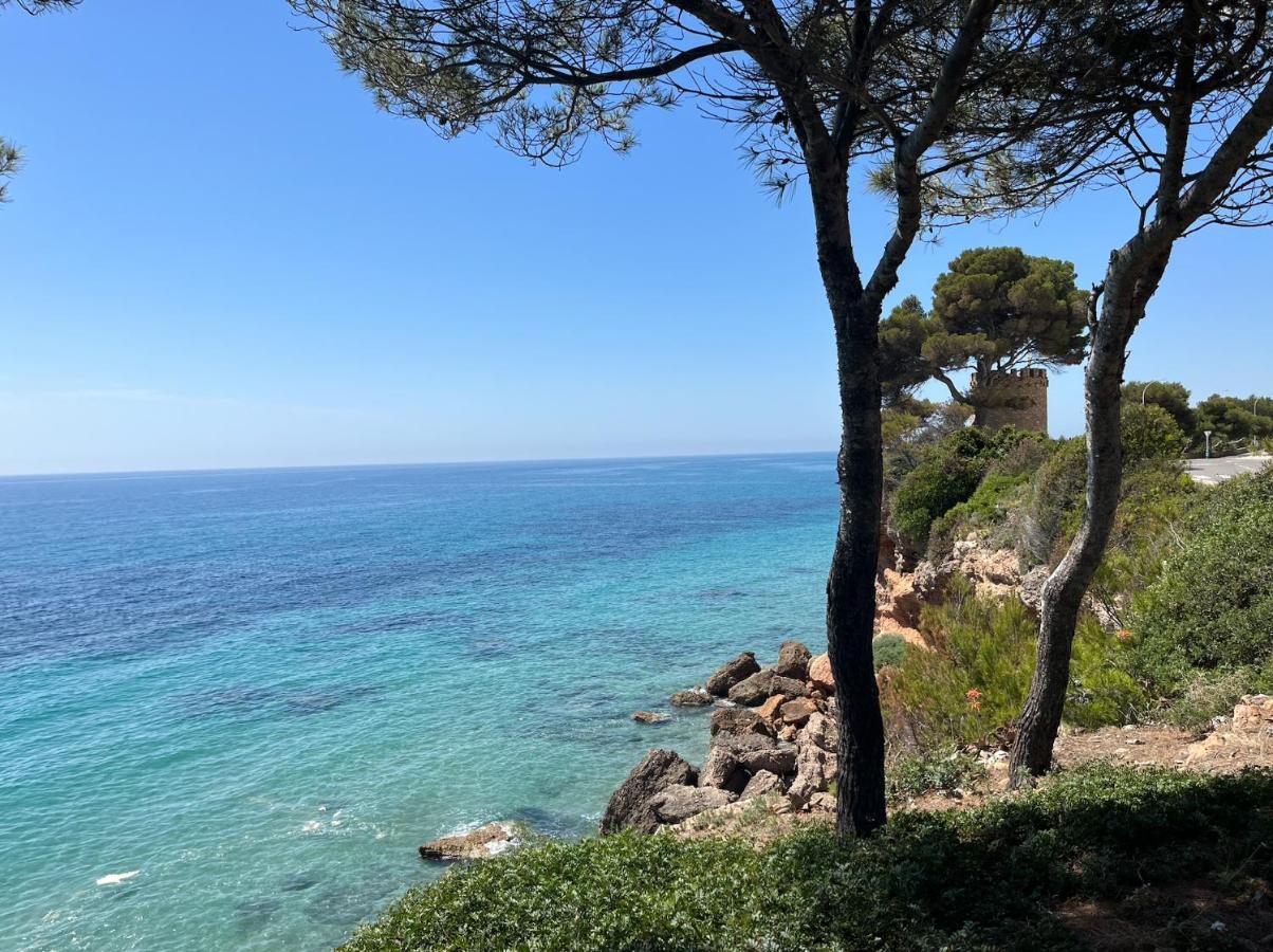 Apartamento Con Piscina Y Jardin Espectacular Cala Sirenas - Nuevo 미아미플라자 외부 사진
